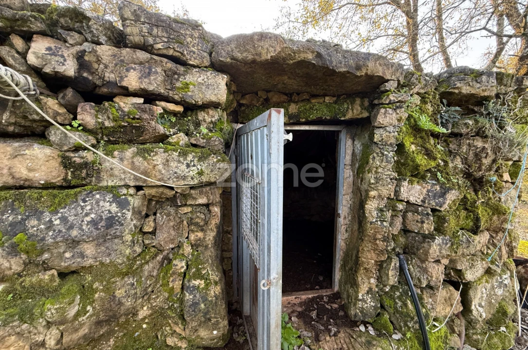 Terreno para Venda em Assafarge e Antanhol Foto 16