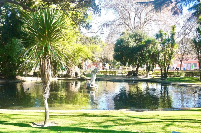 Apartamento T2 para Arrendamento em Campo de Ourique Foto 15