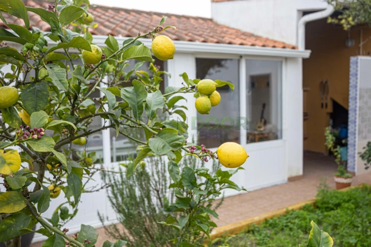 Moradia T5 para Venda em Aveiras de Baixo Foto 54