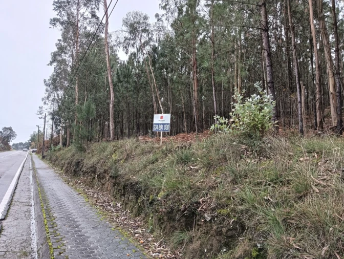 Terreno para Venda em Eixo e Eirol Foto 1