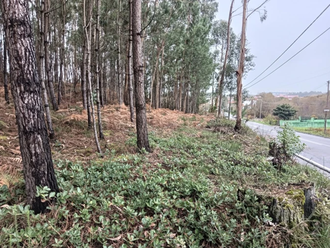 Terreno para Venda em Eixo e Eirol Foto 3
