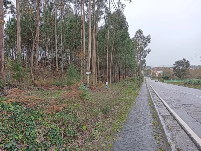 Terreno para Venda em Eixo e Eirol Foto 4