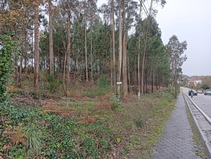 Terreno para Venda em Eixo e Eirol Foto 8