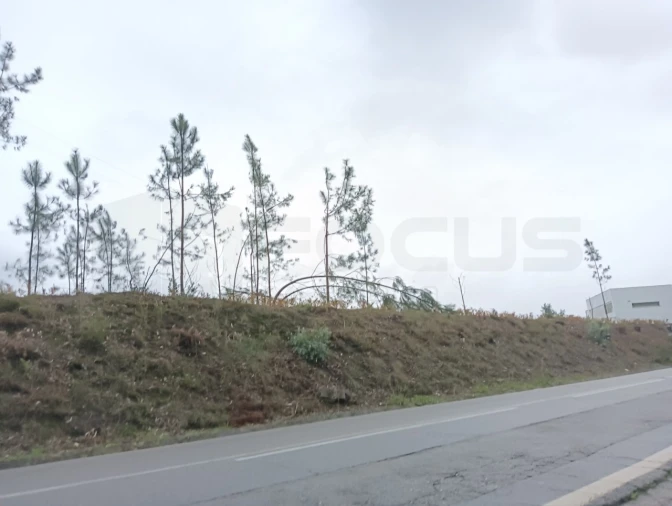 Terreno para Venda em Eixo e Eirol Foto 10