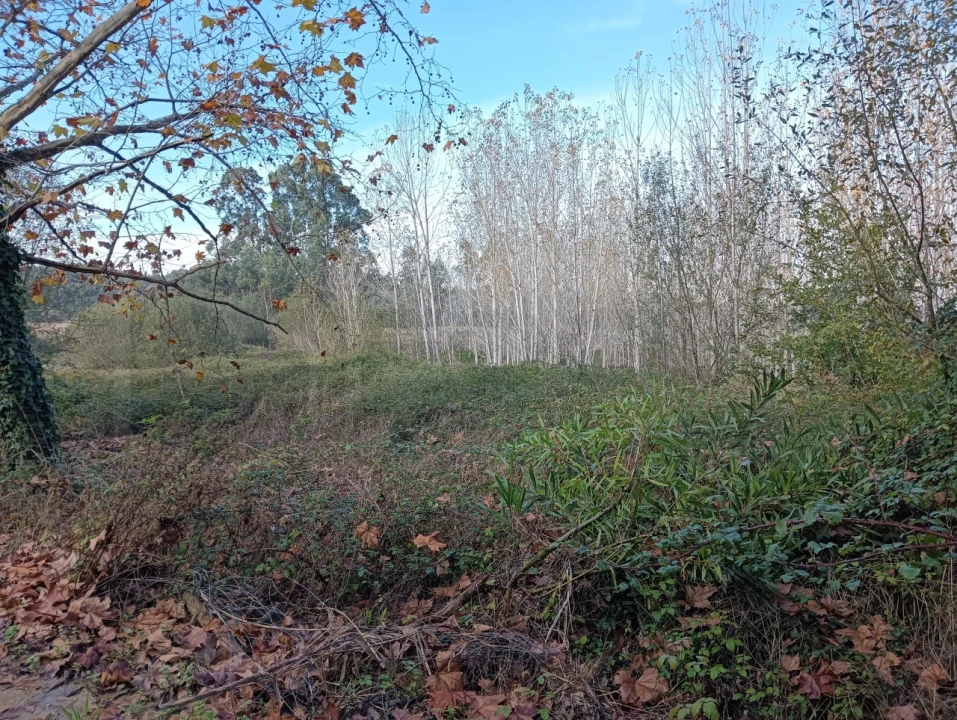 Terreno para Venda em Ouca Foto 8