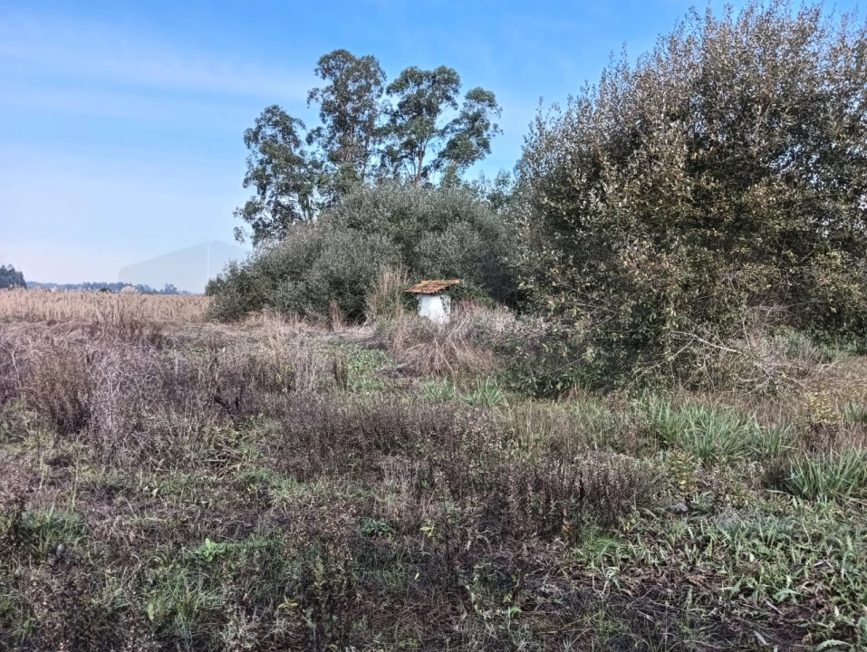 Terreno para Venda em Ouca Foto 13