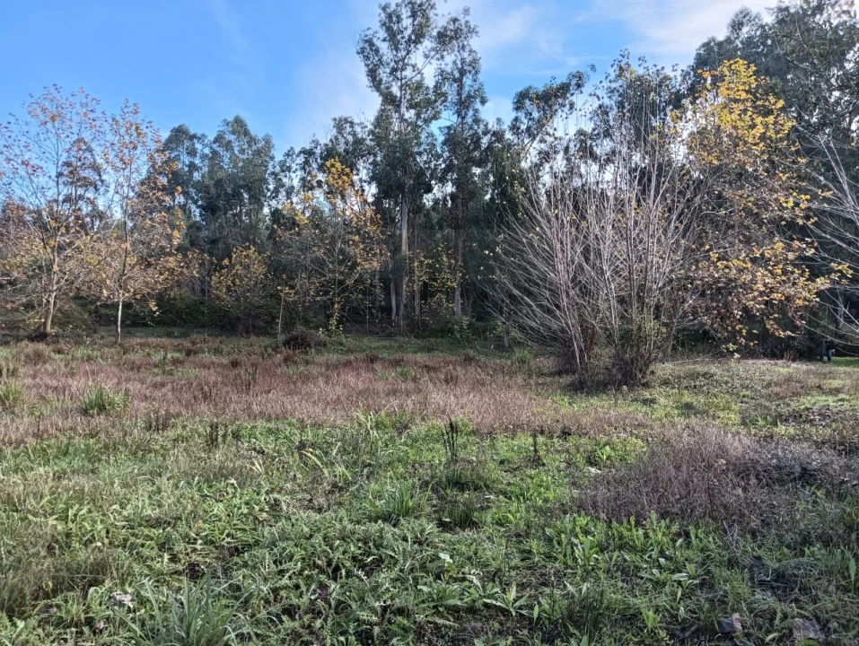 Terreno para Venda em Ouca Foto 14