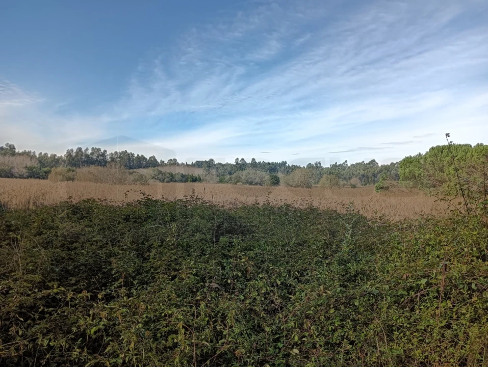 Terreno para Venda em Ouca Foto 15
