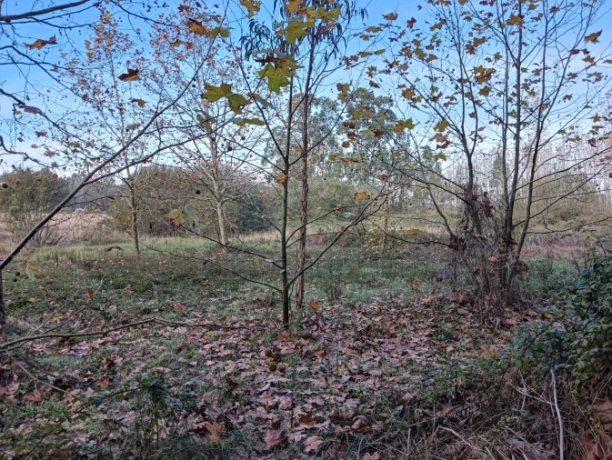 Terreno para Venda em Ouca Foto 10