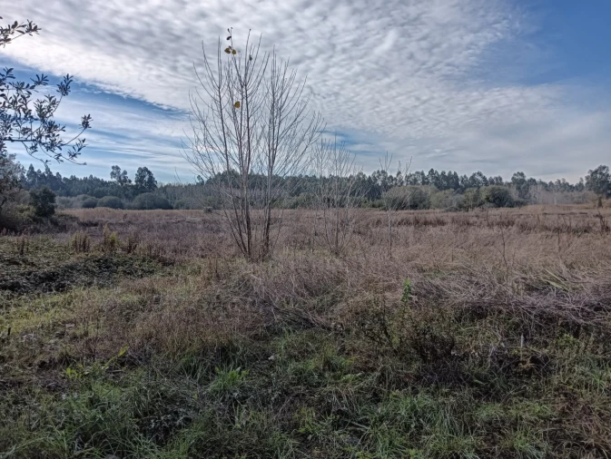 Terreno para Venda em Ouca Foto 11