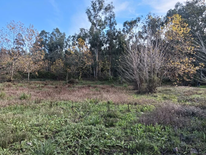 Terreno para Venda em Ouca Foto 14