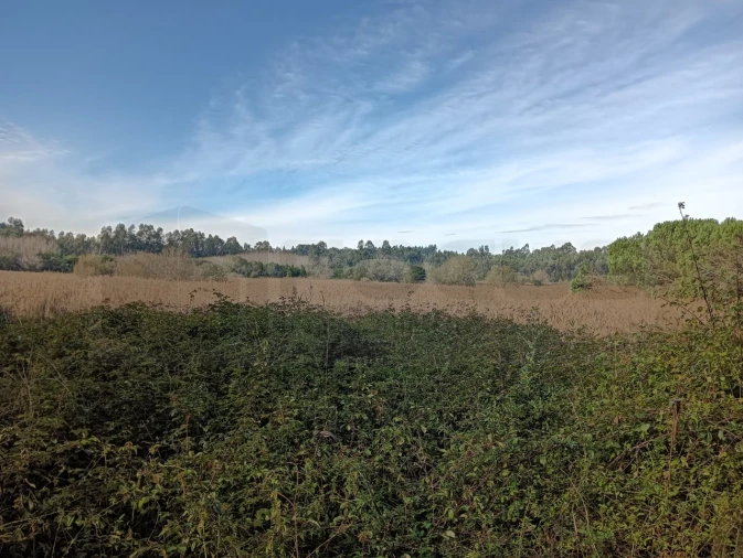 Terreno para Venda em Ouca Foto 15