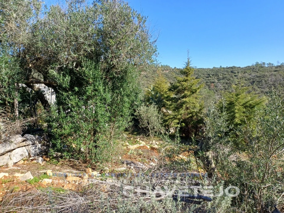 Quinta T3 para Venda em Pelma Foto 50