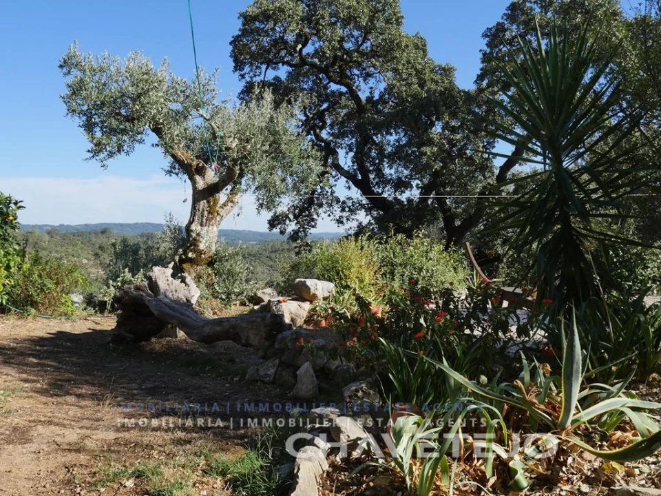 Quinta T3 para Venda em Pelma Foto 39