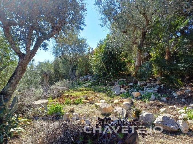 Quinta T3 para Venda em Pelma Foto 59