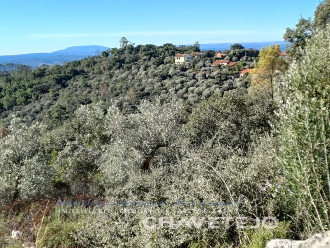 Quinta T3 para Venda em Pelma Foto 66