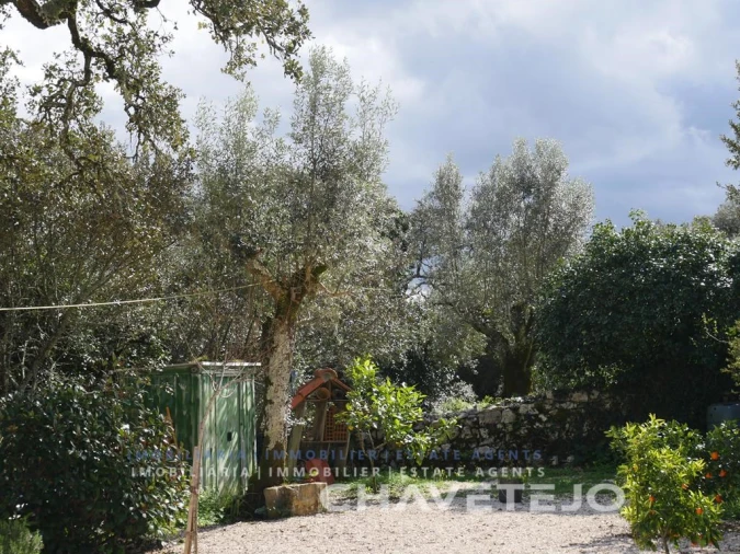 Quinta T3 para Venda em Pelma Foto 36