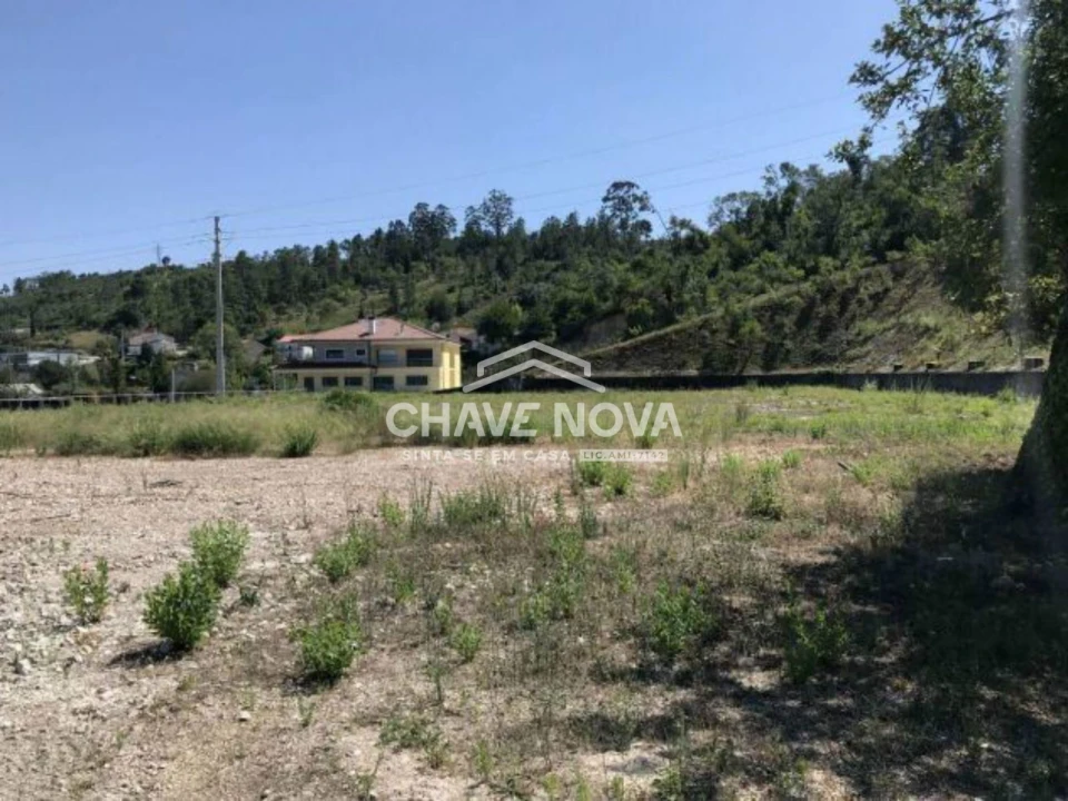 Terreno P/ Prédio para Venda em Santa Clara e Castelo Viegas Foto 1