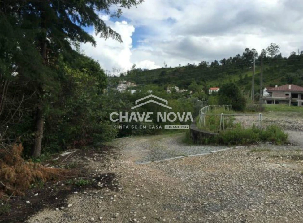 Terreno P/ Prédio para Venda em Santa Clara e Castelo Viegas Foto 2