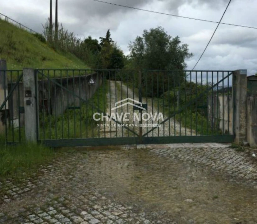Terreno P/ Prédio para Venda em Santa Clara e Castelo Viegas Foto 5