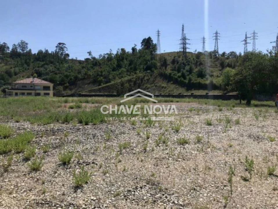Terreno P/ Prédio para Venda em Santa Clara e Castelo Viegas Foto 9