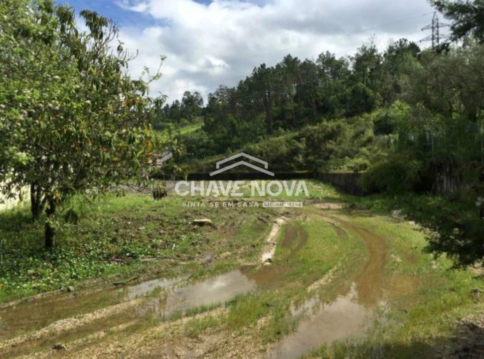 Terreno P/ Prédio para Venda em Santa Clara e Castelo Viegas Foto 10