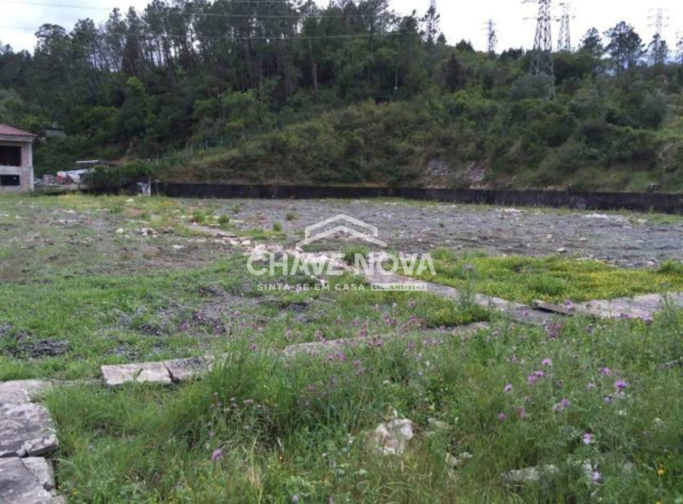 Terreno P/ Prédio para Venda em Santa Clara e Castelo Viegas Foto 11