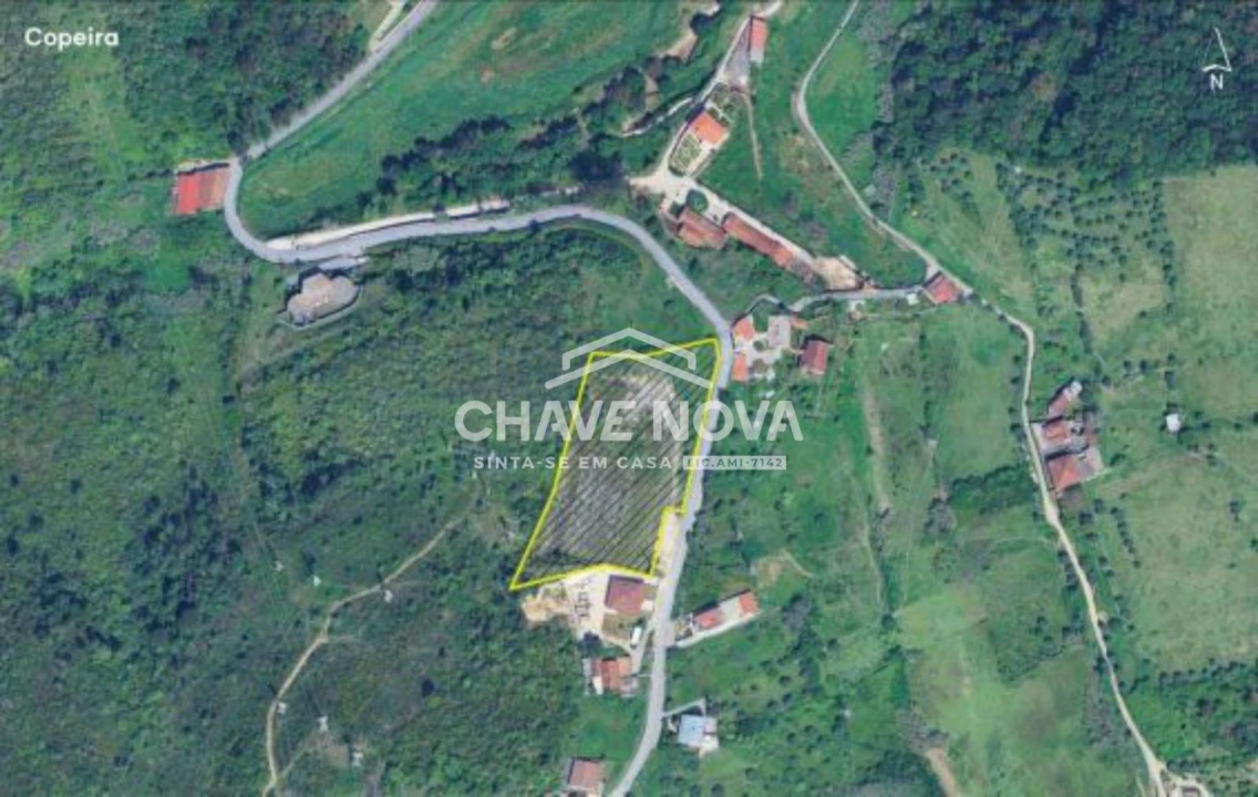 Terreno P/ Prédio para Venda em Santa Clara e Castelo Viegas Foto 12