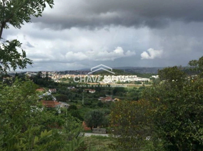 Terreno P/ Prédio para Venda em Santa Clara e Castelo Viegas Foto 3