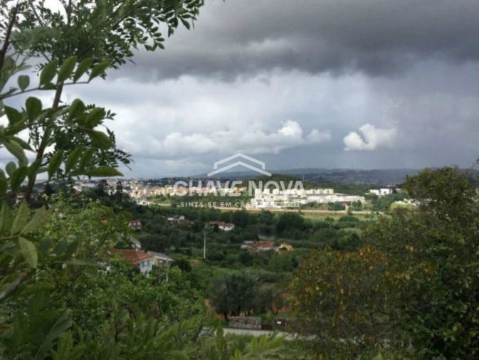Terreno P/ Prédio para Venda em Santa Clara e Castelo Viegas Foto 8