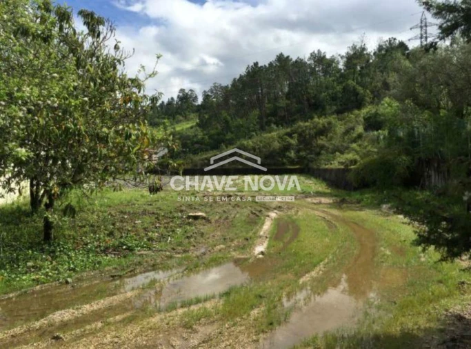 Terreno P/ Prédio para Venda em Santa Clara e Castelo Viegas Foto 10