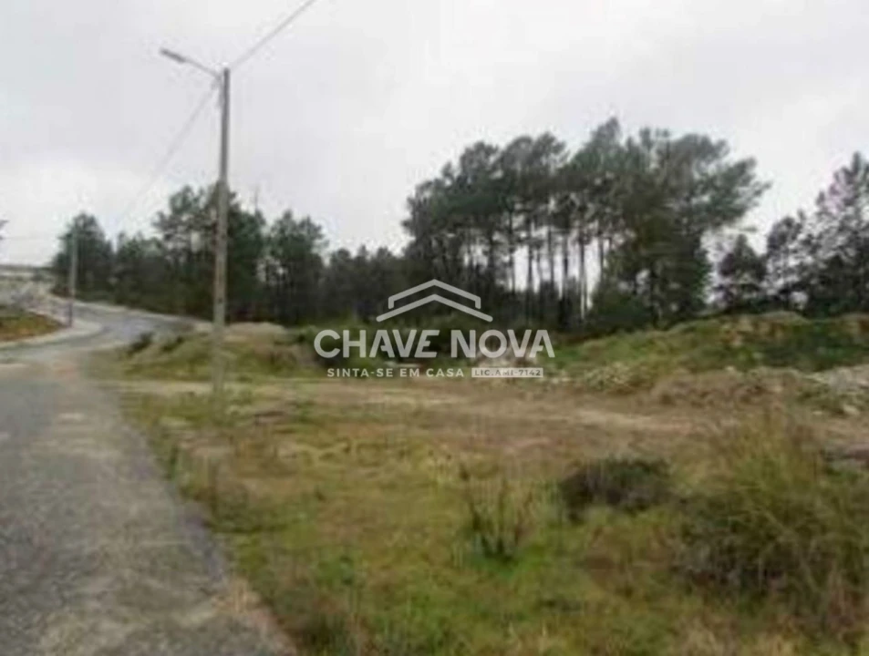 Terreno P/ Prédio para Venda em Cebolais de Cima e Retaxo Foto 2