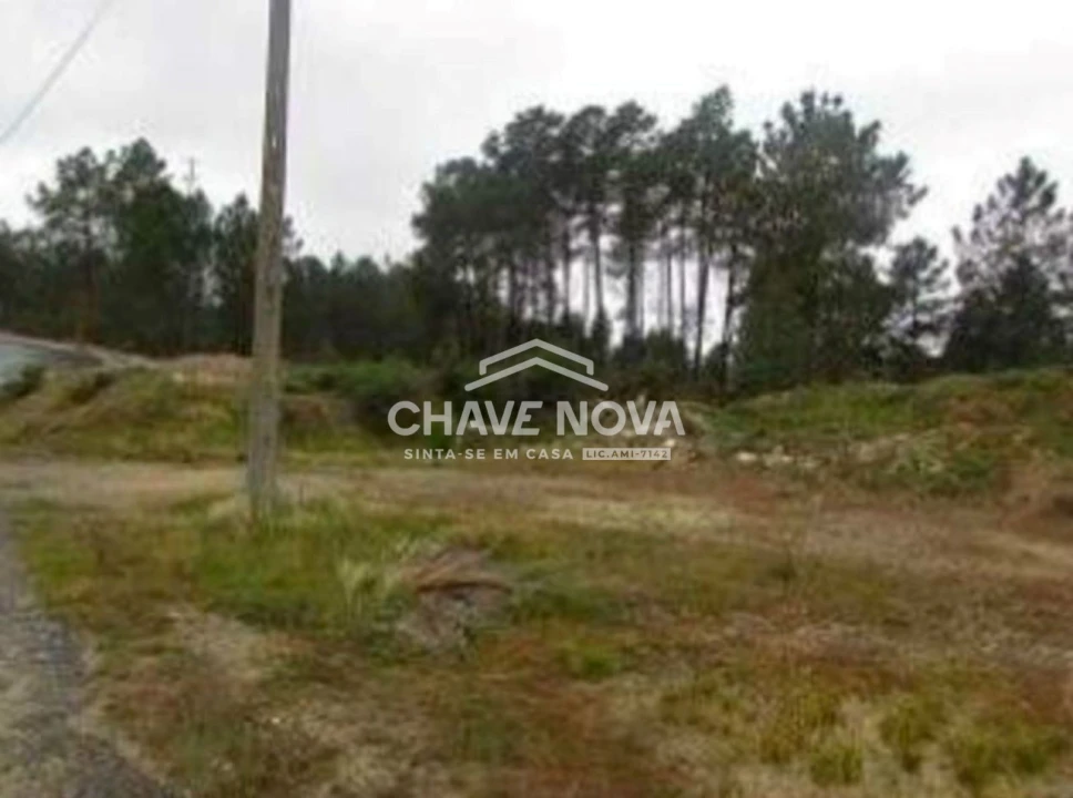Terreno P/ Prédio para Venda em Cebolais de Cima e Retaxo Foto 4