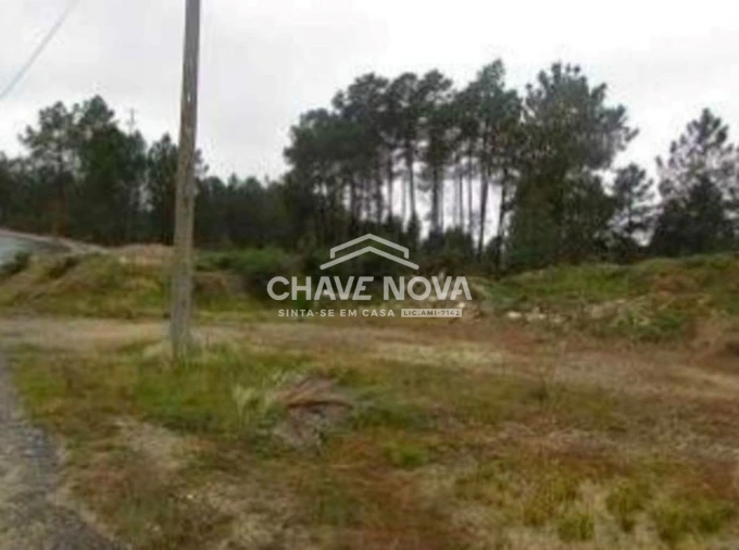 Terreno P/ Prédio para Venda em Cebolais de Cima e Retaxo Foto 4