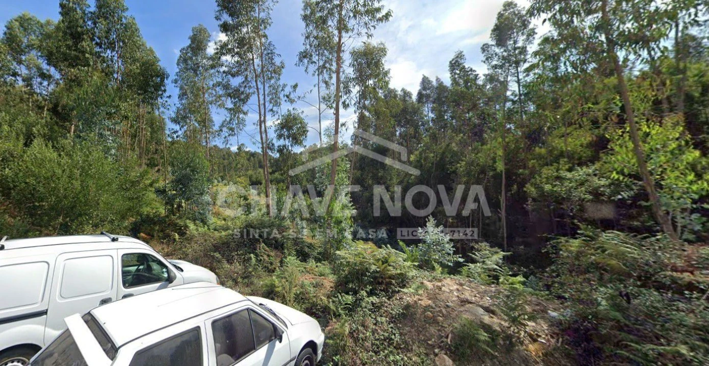 Terreno Agricola ou Rústico para Venda em Santa Maria da Feira, Travanca, Sanfins e Espargo Foto 1