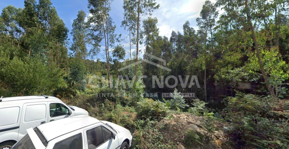 Terreno Agricola ou Rústico para Venda em Santa Maria da Feira, Travanca, Sanfins e Espargo Foto 1