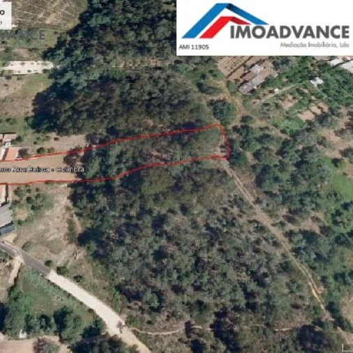 Terreno para Venda em São Martinho do Bispo e Ribeira de Frades Foto 11