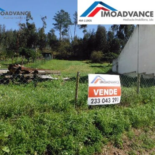 Terreno para Venda em São Martinho do Bispo e Ribeira de Frades Foto 2