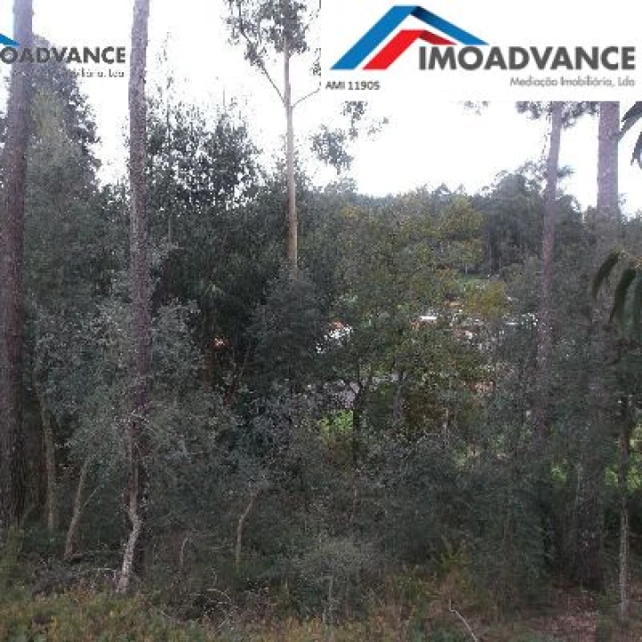 Terreno para Venda em São Martinho do Bispo e Ribeira de Frades Foto 8