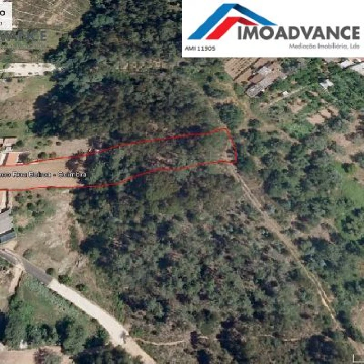 Terreno para Venda em São Martinho do Bispo e Ribeira de Frades Foto 11