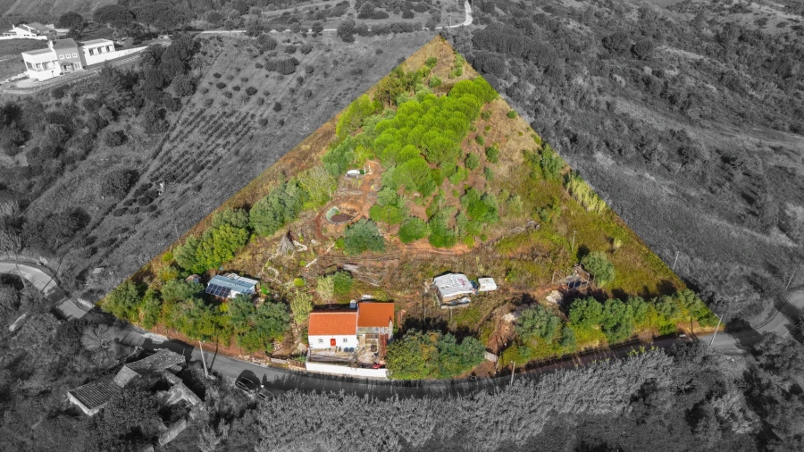 Moradia T2 para Venda em Olhalvo Foto 3