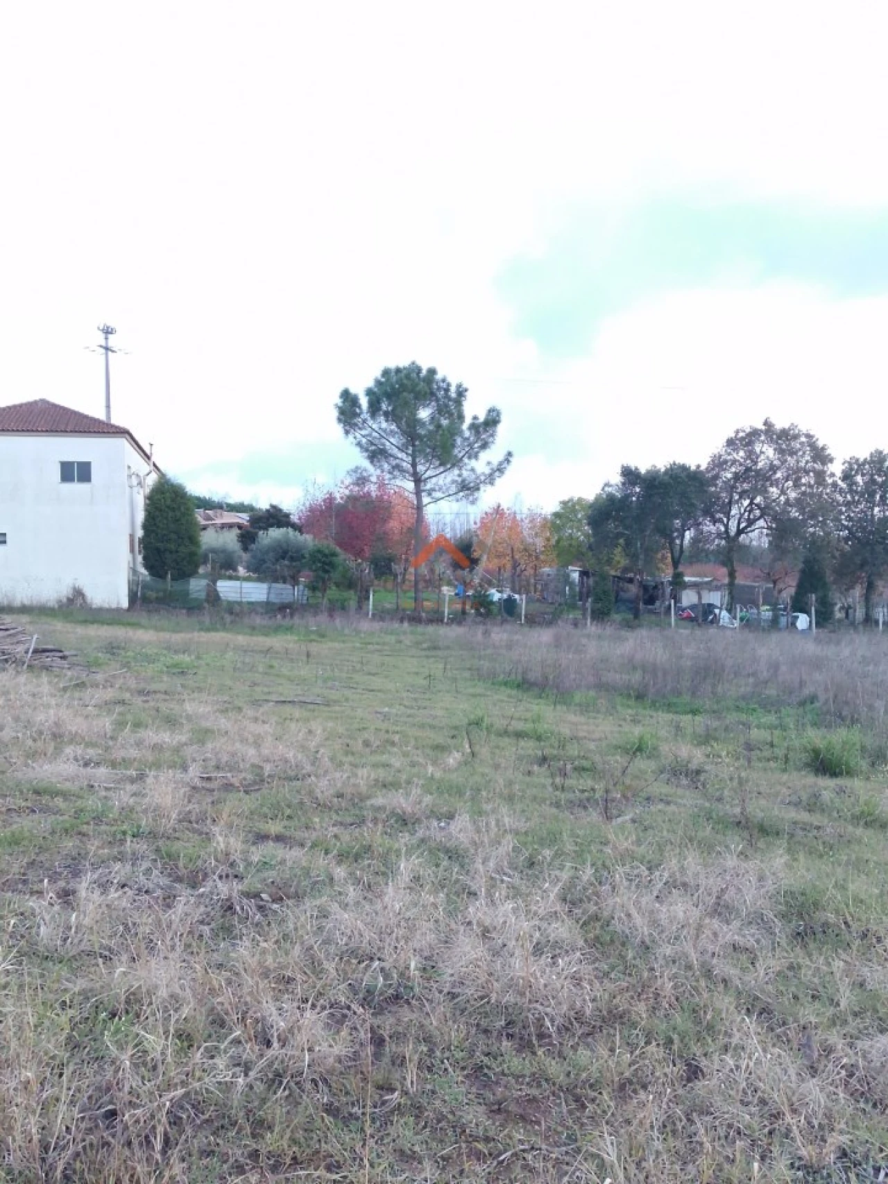 Terreno para Venda em Valongo do Vouga Foto 6