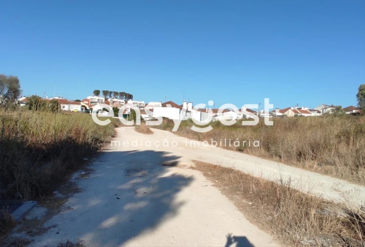 Terreno para Venda em Marvila, Ribeira Santarém, São Salvador, São Nicolau Foto 4