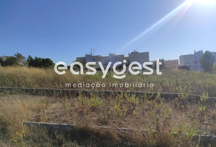 Terreno para Venda em Marvila, Ribeira Santarém, São Salvador, São Nicolau Foto 11