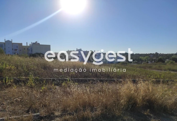 Terreno para Venda em Marvila, Ribeira Santarém, São Salvador, São Nicolau Foto 12
