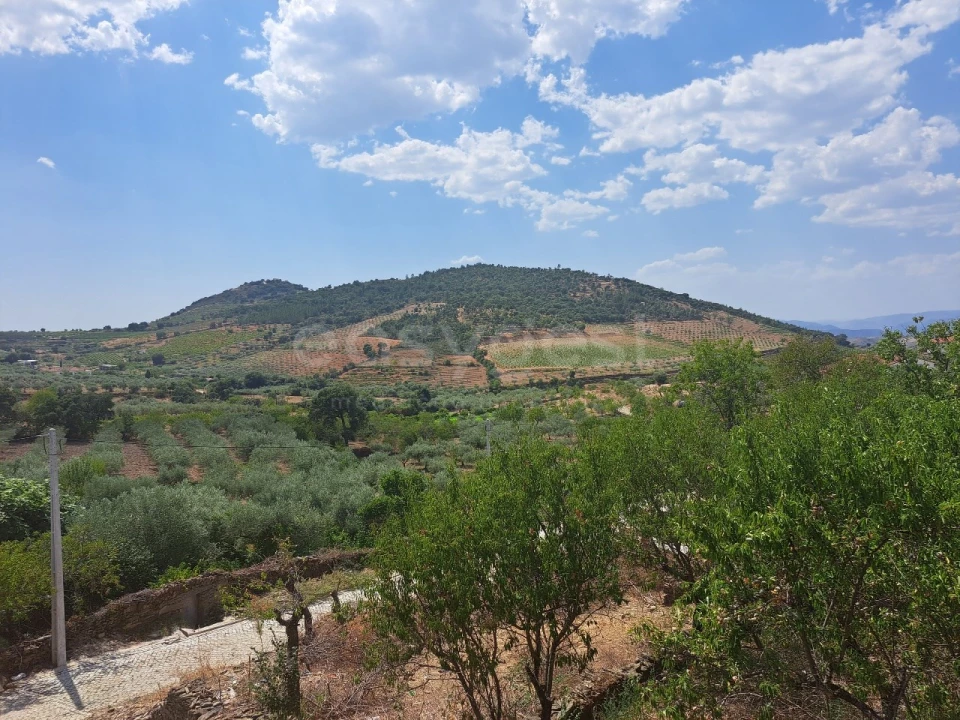 Moradia T3 para Venda em Urros e Peredo dos Castelhanos Foto 18