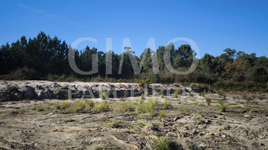 Terreno para Venda em Oliveira do Bairro Foto 4