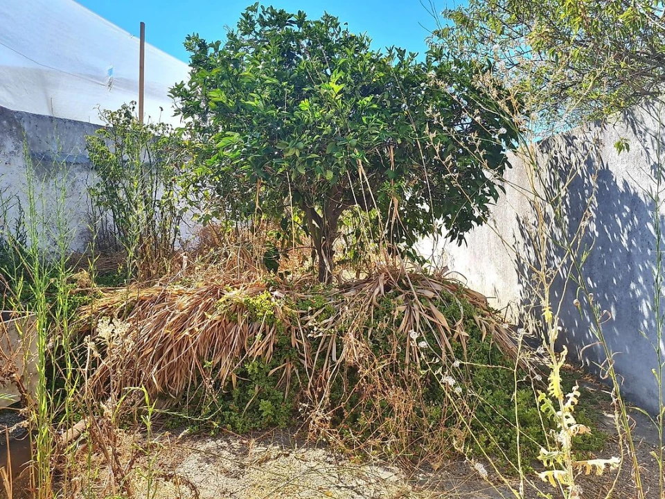 Moradia T2 para Venda em Ervidel Foto 9