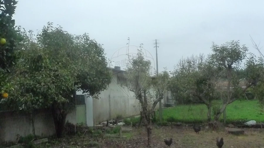 Armazém para Venda em Arcozelo Foto 5