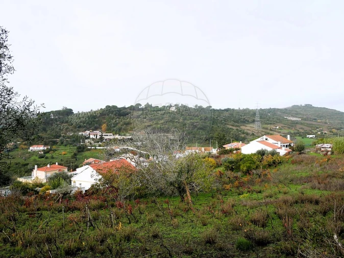 Terreno para Venda em Alhandra, São João dos Montes e Calhandriz Foto 3